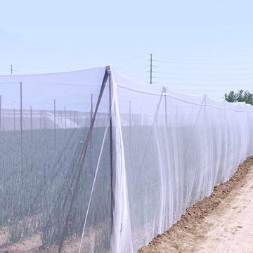 3X15M SIATKA NA OWADY WIELOFUNKCYJNY CHRONIĆ WARZYW DUŻY