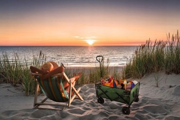 СКЛАДНАЯ ПЕРЕВОЗКА РЫБЫ, БОЛЬШИЕ КОЛЕСА