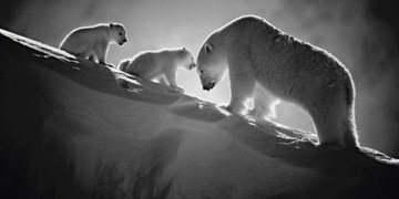 Лед черный, Лоран Баэ