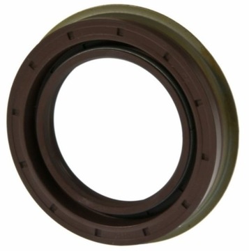 Uszczelniacz tył atak RAM Aspen Durango 9.25 00-19