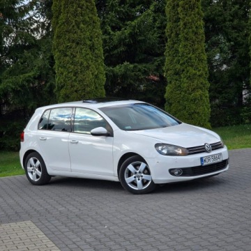 Volkswagen Golf VI Hatchback 5d 1.6 TDI-CR DPF BlueMotion 105KM 2010 Volkswagen Golf VI 1.6 Diesel, zdjęcie 6