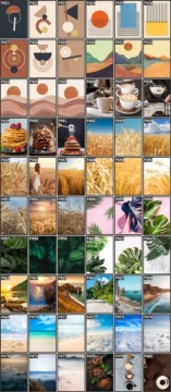 КАРТИНА-постер 70х50 для гостиной ТРАВА БОХО ПРИРОДА - ПОДБОР УЗОРОВ