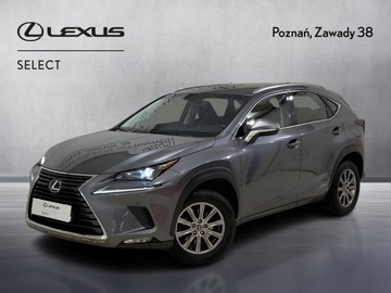 Lexus NX I SUV 300h 197KM 2017 Lexus NX 300h Elegance AWD I (2014-2021) 300h Eleg