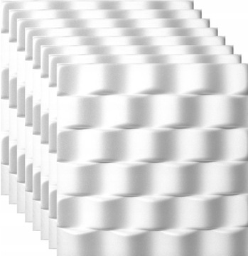 PANEL ŚCIENNY BIAŁY KASETON SUFITOWY 3D NEPTUN 2m2
