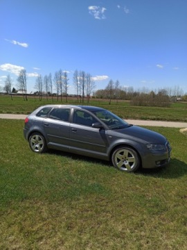 Audi A3 8P Hatchback 3d 1.6 102KM 2006 Audi a3 8p 1.6 benzyna, zdjęcie 1