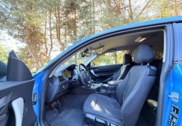 BMW Seria 1 F20-F21 Hatchback 5d Facelifting 2015 120d 190KM 2017 BMW Seria 1 BMW Seria 1 120d xDrive Sport-Aut Sport Line 2.0 Diesel 190KM, zdjęcie 12