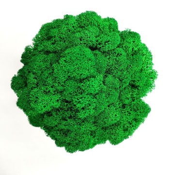 Вазон с мхом хроботек, 18 см, мох хроботек в сером горшке, 3D печать