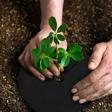 Коврик для защиты деревьев Phyto Plants