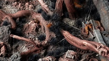 Gamers Grass: Grass tufts - 6 mm Alien Void (Wild)