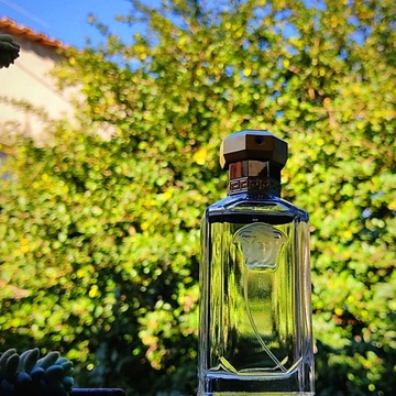 БУТЫЛКА VERSACE THE DREAMER EDT 100 МЛ