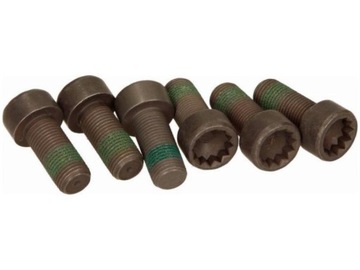 SADA ŠROUBŮ LUK 411 0133 10