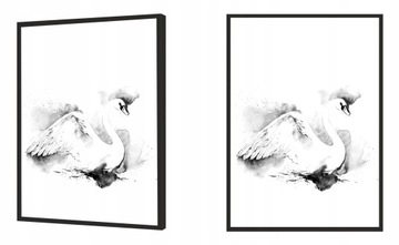 КАРТИНА-ПОСТЕР В РАМКЕ 33х43 см Лебедь P748