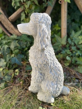 Figura betonowa ogrodowa pies pudel