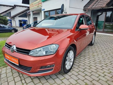 Volkswagen Golf VII Hatchback 3d 1.4 TSI BlueMotion Technology 125KM 2015 Volkswagen Golf VII 1.4 TSI Lounge + DSG, zdjęcie 2
