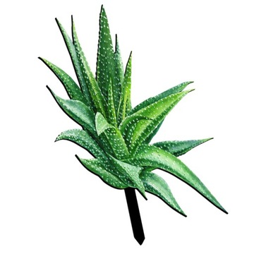 SZTUCZNE ROŚLINY ALOE VERA OZDOBANIE TRAWNIKA