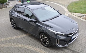 Kia XCeed Crossover Facelifting 1.6 T-GDI 204KM 2024 Kia XCeed KIA XCeed 1,6 T-GDI 204KM 2024R OPF GT super WERSJA Oryginal Fa, zdjęcie 1