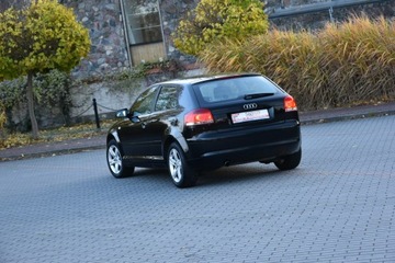 Audi A3 8P Hatchback 3d 1.6 102KM 2008 Audi A3 1.6MPi 102KM Manual 2008r. lift Climatroni, zdjęcie 3