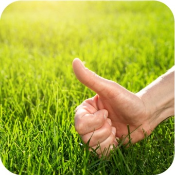 Удобрение Фруктовит для газонной травы 25 кг