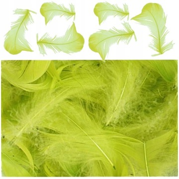 ХУДОЖЕСТВЕННЫЕ ИЗДЕЛИЯ ДЕКОРАТИВНЫЕ ПЕРЬЯ КАЛАДА