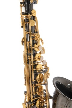 Саксофон альт Roy Benson AS-202K в настройке ми-бемоль