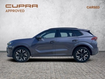Cupra Terramar SUV 1.5 eTSI 150KM 2024 Cupra Terramar 1.5 eTSI 150KM Pakiet Immersive Pak, zdjęcie 1
