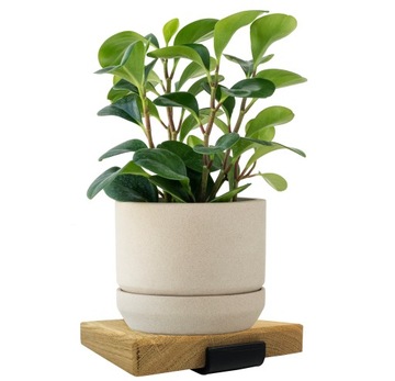 СОВРЕМЕННАЯ НАСТЕННАЯ ПОДСТАВКА ДЛЯ ЦВЕТОВ LOFT НАСТЕННАЯ ПОЛКА ДЕРЕВЯННАЯ ДУБОВАЯ ОСНОВА 20x20