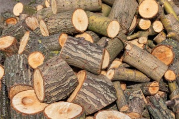 Топор Bradas для колки дров, из закаленной стали, 1 кг, ПРОЧНЫЙ