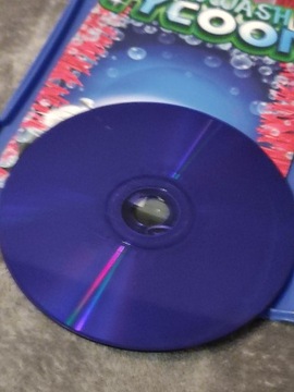 ИГРА ДЛЯ PLAYSTATION CARWASH TYCOON ДЛЯ PS2