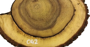 Срез грецкого ореха 53х45 Необычной формы