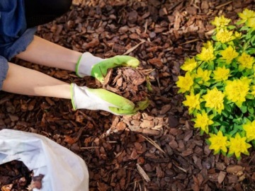 СОСНОВАЯ КОРА, ОРГАНИЧЕСКАЯ, НАТУРАЛЬНАЯ САДОВАЯ ЛИЦЕНЗИЯ, СРЕДНЯЯ ТОЛЩИНА, 2-12 СМ, 80 Л