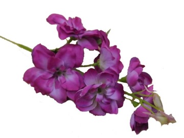 OSTRÓŻKA GAŁĄZKA OSTRÓŻKI PURPUROWA 45cm