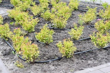 ПОДАЧАЮЩАЯ ТРУБА ПОЛИВНЫЙ ШЛАНГ FI16 16 мм ПОЛЬША ТОЛЩИНА кабеля 50 м