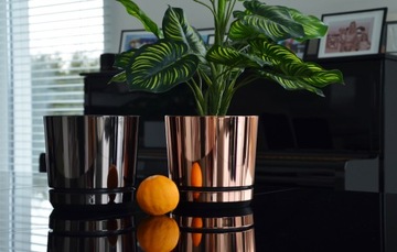 Рождественский цветочный горшок ЛОСОСЬ Вифлеемская звезда