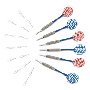 Электронный дартс ECHOWELL AC 100