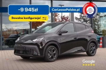 BYD 2026 BYD Dolphin Surf Szybki odbior Duzy rabat Kamera 360 Leasing Wynajem