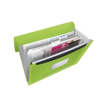 Teczka harmonijkowa ESSELTE Vivida 6 przeg. zielon