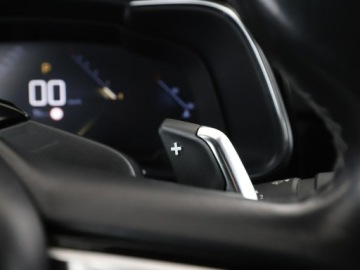  DS Automobiles DS 7 Crossback Skóra, Kamera,, zdjęcie 33