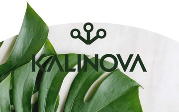 СПРЕЙ ОТ ОС И ШЕРШЕНЕЙ в виде огнетушителя УНИЧТОЖАЕТ ГНЕЗДА 2х400МЛ