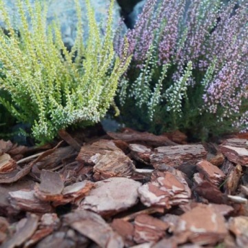 КОРА СОРТИРОВАННАЯ 20-50ММ 80Л