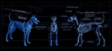 HIFICA LITE RUN PP Спортивная защита ремня безопасности, полная подкладка на заказ