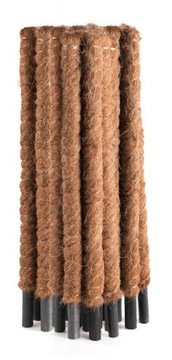 PODPORA PALIK TYCZKA KOKOSOWA DO ROŚLIN 50CM 25MM