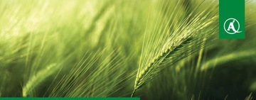 KINTO PLUS 1Л ОБРАБОТКА СЕМЯН ДЛЯ ЗЕРНОВЫХ BASF