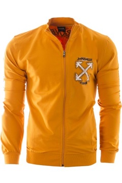 L - BLUZA MĘSKA 6489 MATT