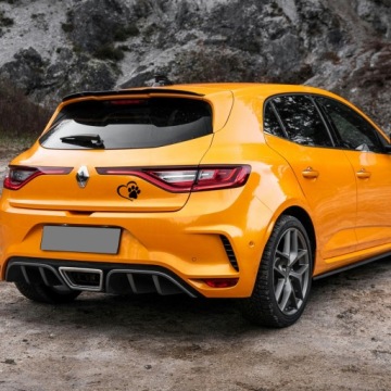 Автомобильная наклейка PAW IN HEART Paw Paws 12x10 см для собак - видимая