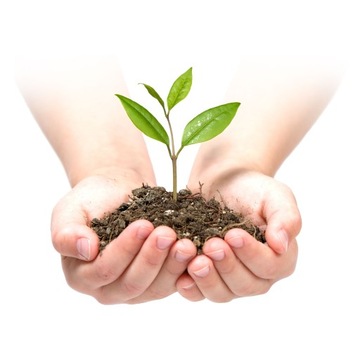 Садовый агротекстиль 1,6м х 100м + 100 штырей Plonos - зеленый