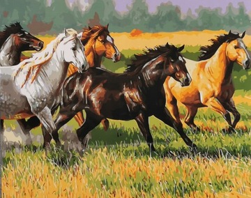 Obraz Kayet do malowania po numerach numerkach 40x50cm konie