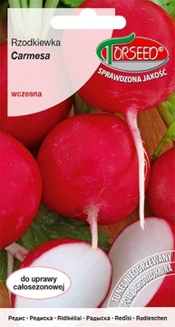 Rzodkiewka Carmesa nasiona 10g całosezonowa uprawa