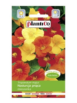 PlantiCo Nasturcja pnąca mieszanka