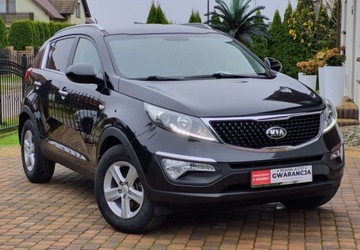 Kia Sportage III SUV Facelifting 1.6 GDI 135KM 2015 Kia Sportage Kia Sportage 1.6 Benzyna 135KM, zdjęcie 29