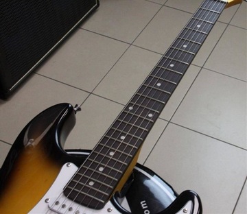 Washburn WS 300 H (TS) - электрогитара
